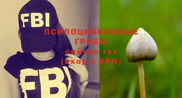 тгк Абдулино