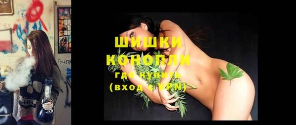 молекула духа Нея
