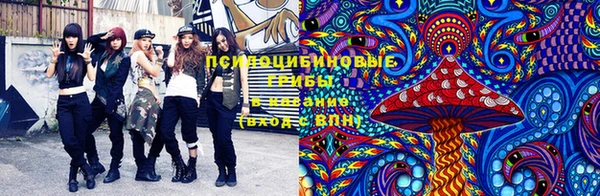 не бодяженный Нефтегорск