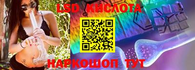 PSILOCYBIN Новозыбков