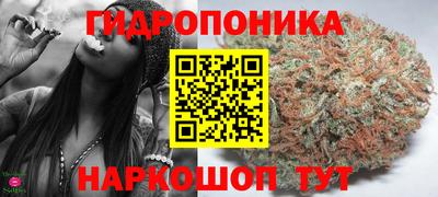 ГАЛЛЮЦИНОГЕННЫЕ ГРИБЫ Нальчик