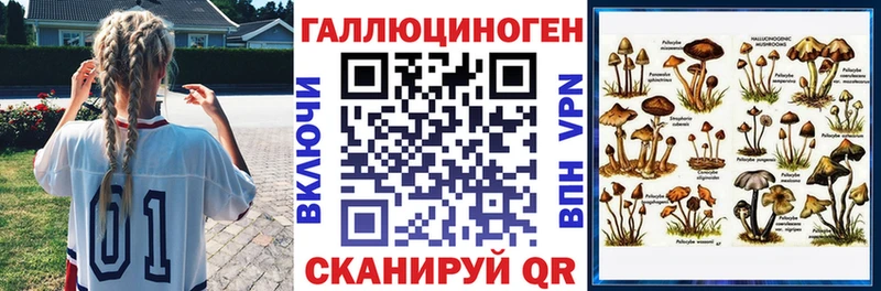 Галлюциногенные грибы Psilocybine cubensis Тамбов