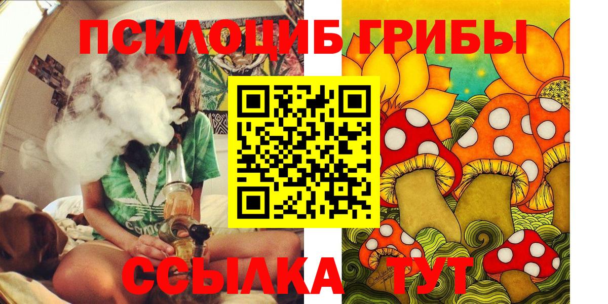 Галлюциногенные грибы Psilocybine cubensis  Вход с VPN  Тамбов 